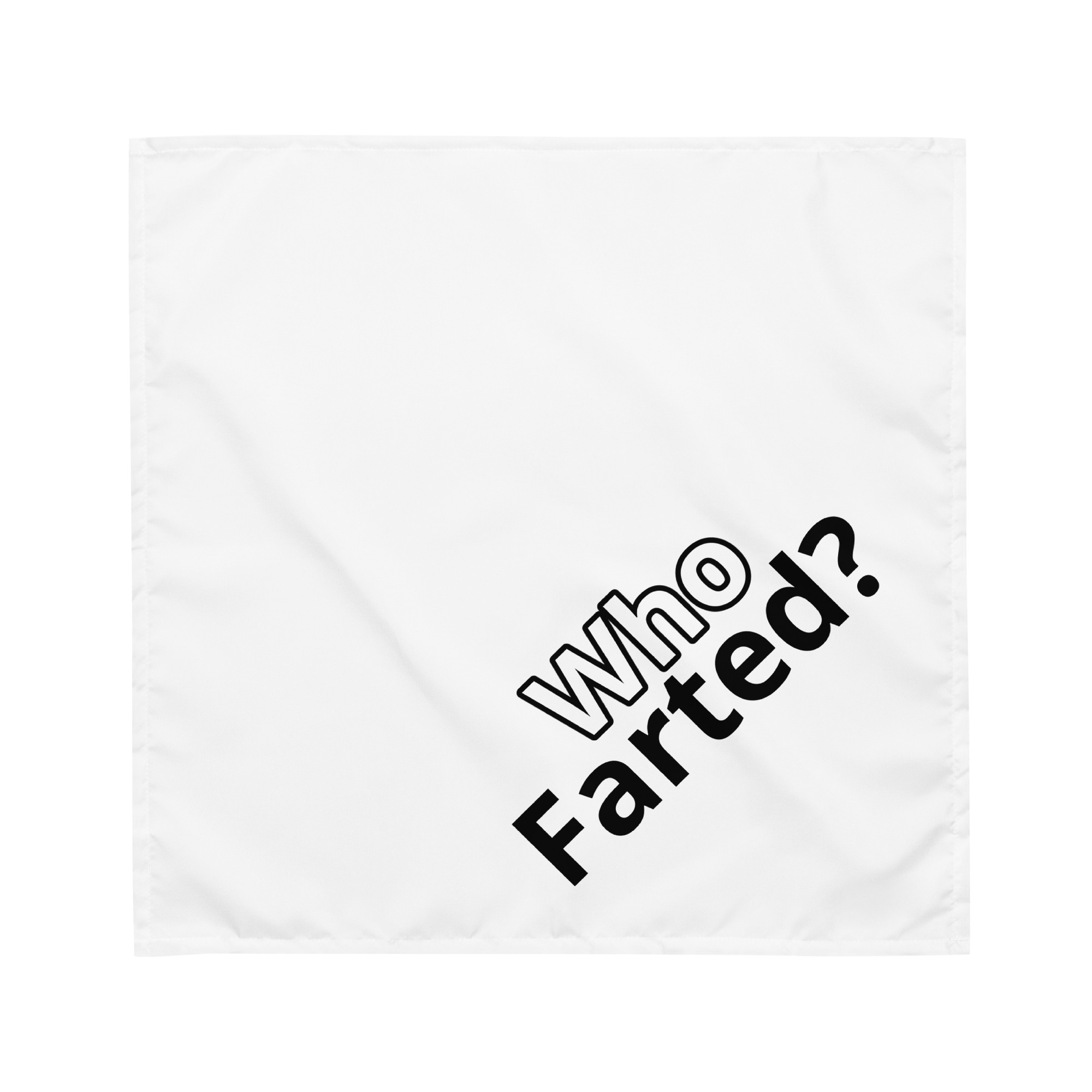 Who Farted - Image 3