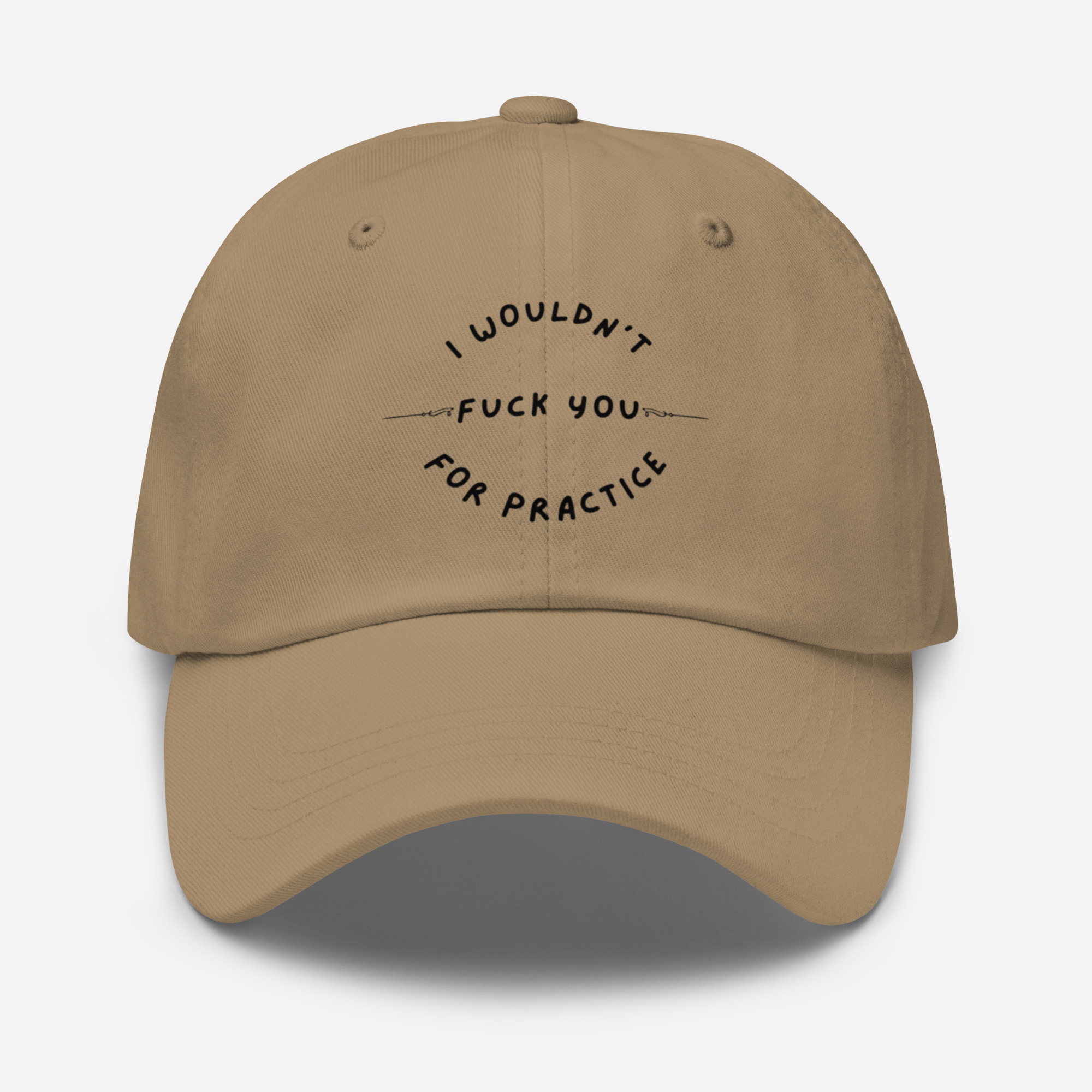 I Wouldn't Fuck You For Practice - Image 3