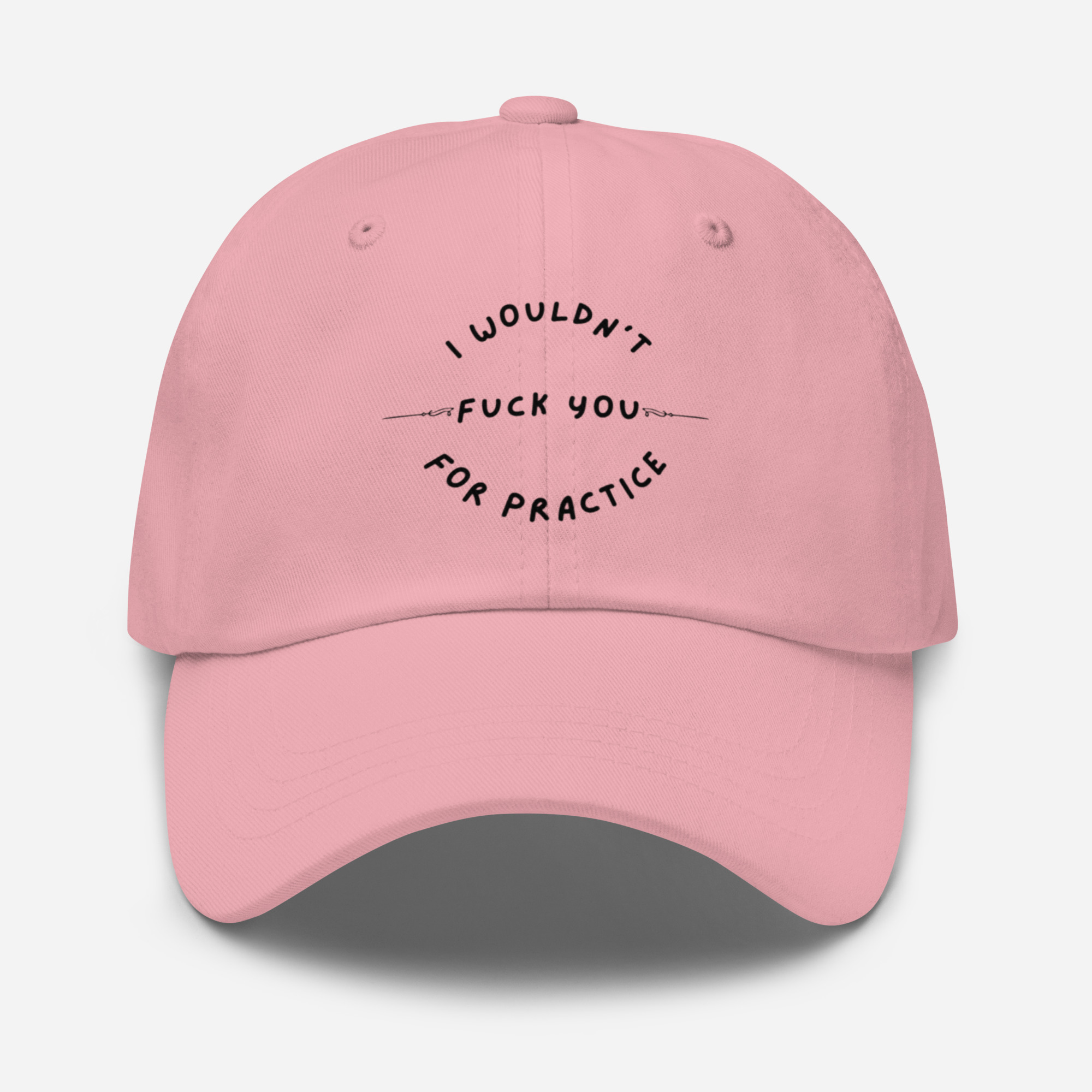 I Wouldn't Fuck You For Practice - Image 8
