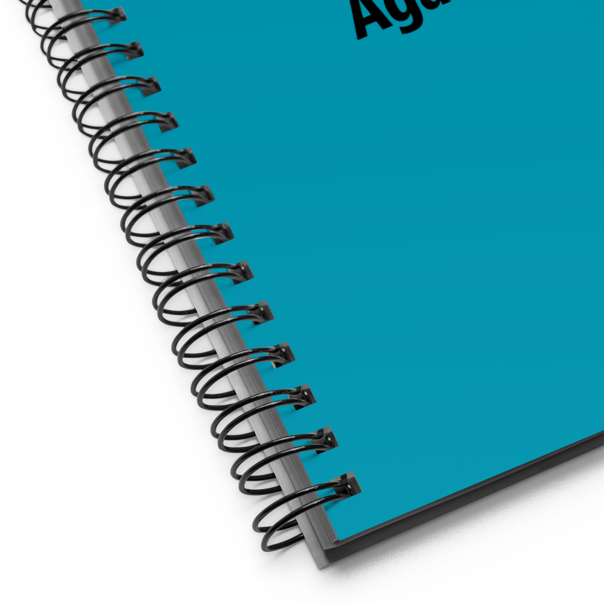 Things I was right about....Again-Spiral notebook